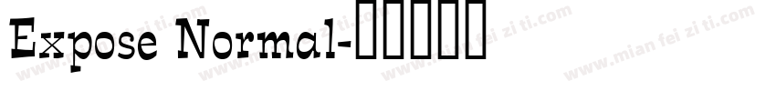 Expose Normal字体转换